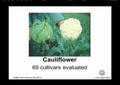 Click to Launch CT Agricultural Experiment Station 103rd Plant Science Day